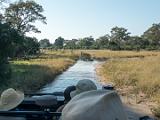 Africa 148 : Africa, Botswana, Delta, Landscape, Okavango, Travel, View from Vehicle, Vumbura Plains